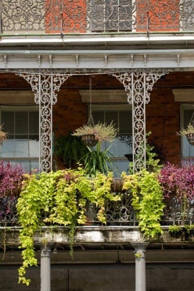 The French Quarter - International Magazine Kreol The French Quarter