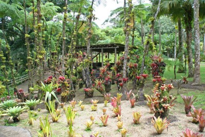 Guadeloupe Islands - International Magazine Kreol Guadeloupe Islands