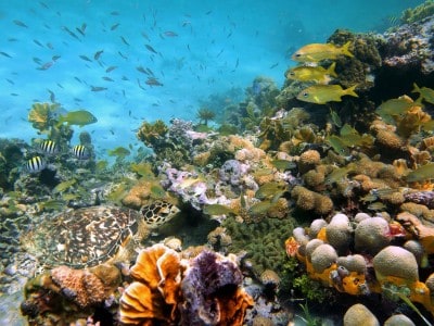 Guadeloupe Islands - International Magazine Kreol Guadeloupe Islands
