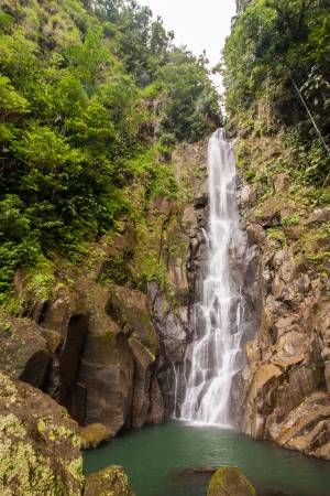 Dominica - International Magazine Kreol Dominica