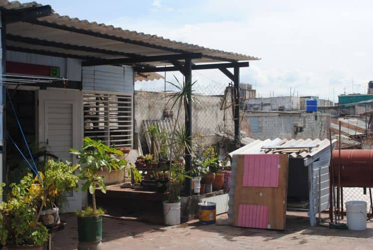 Luis Enrique Camejo's studio - International Magazine Kreol Luis Enrique Camejo's studio