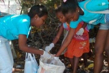 Beach Cleaning