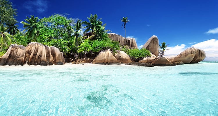 vanilla - International Magazine Kreol Vanill a Islands