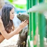 Seychelles - International Magazine Kreol Seychelles