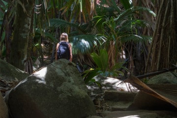 Vallée de Mai