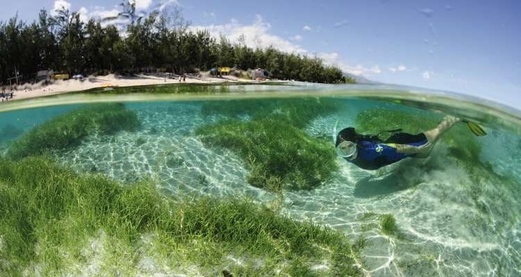 Baignade-Lagon-Credit-Laurent-Beche - International Magazine Kreol Baignade-Lagon