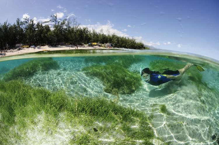 Baignade-Lagon