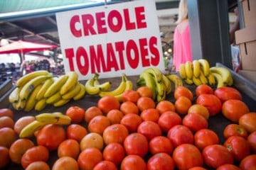 Creole Tomatoes