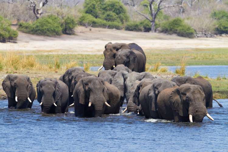 Botswana - International Magazine Kreol Botswana