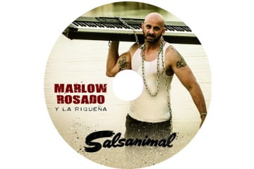 SALSANIMAL_Single