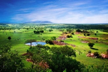 Tanzania