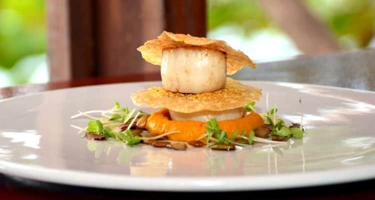 Scallops - International Magazine Kreol