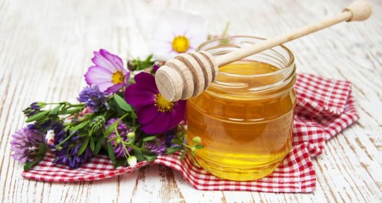 honey - International Magazine Kreol Honey