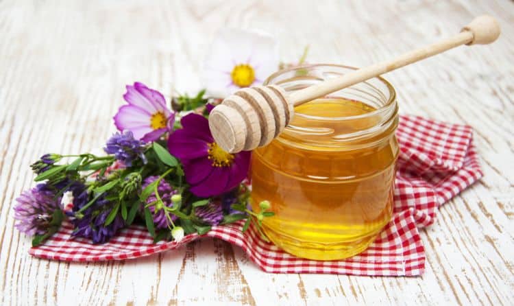 honey - International Magazine Kreol Honey
