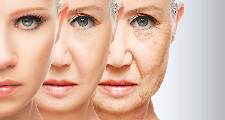 Aging - International Magazine Kreol Aging