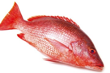 Creole Recipe