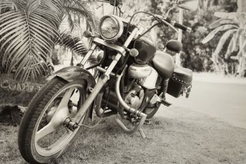harley Davison