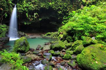 Dominica