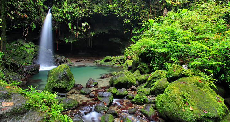 Dominica - International Magazine Kreol Dominica