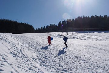 Winter Olympics Games