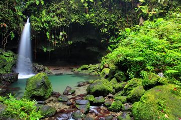 Dominica