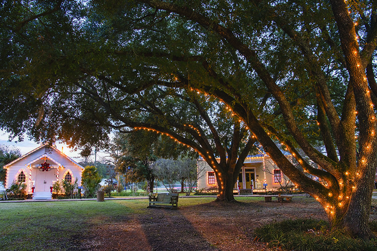 Opelousas 1 - International Magazine Kreol Christmas Time Under the Lighted Oaks at Vieux Village in Opelousas, Louisiana