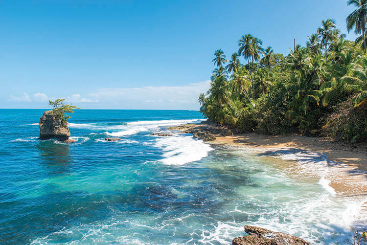 Wild caribbean beach of Manzanillo at Puerto Viejo, Costa Rica - International Magazine Kreol Wild caribbean beach of Manzanillo at Puerto Viejo, Costa Rica