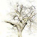 Parlington Tree 3 - International Magazine Kreol
