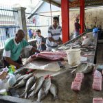 fresh fish and seafood in the Sir Selwyn Selwyn-Clarke Market. photo by ppart - International Magazine Kreol Victoria