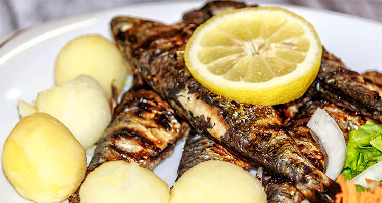 Sardines