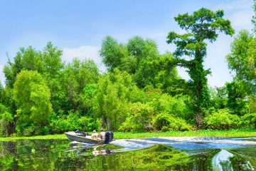 The Atchafalaya