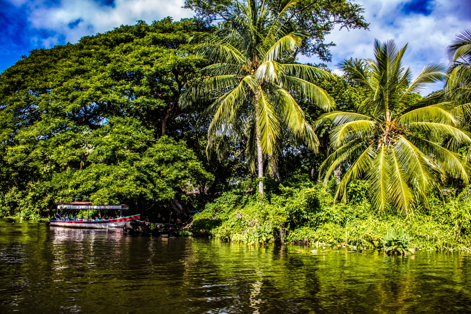 Colorful Tour Boat Parked at an Island with Tropical Palm Trees at the Isletas de Granada in Granada, Nicaragua - International Magazine Kreol Colorful Tour Boat Parked at an Island with Tropical Palm Trees at the Isletas de Granada in Granada, Nicaragua