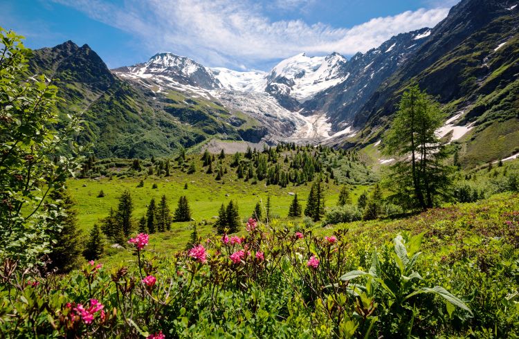 Amazing panorama of French Alps, part of famous trek - Tour du Mont Blanc - International Magazine Kreol Amazing panorama of French Alps, part of famous trek - Tour du Mont Blanc