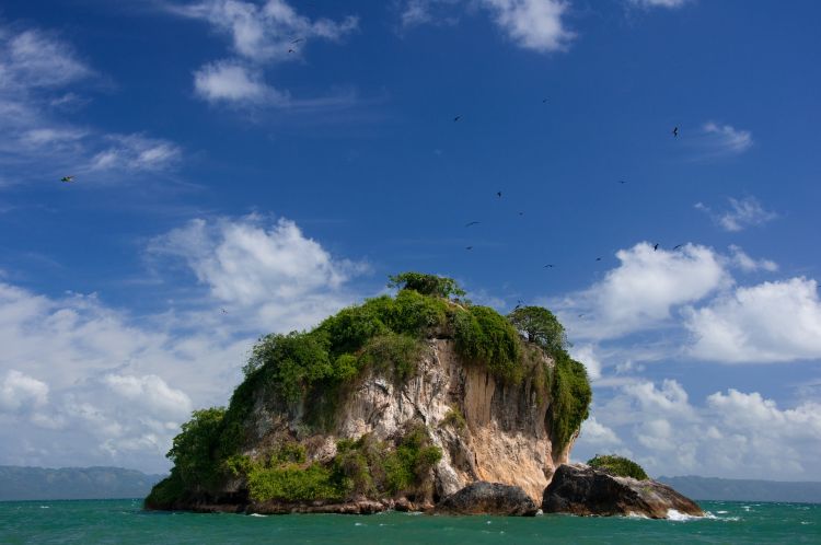 Los Haitises National Park, Bird Island, Dominican Republic - International Magazine Kreol Los Haitises National Park, Bird Island, Dominican Republic