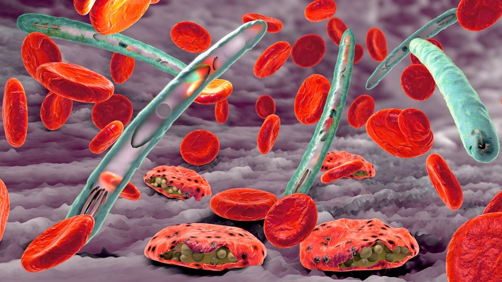 Malaria pathogen causing malaria - International Magazine Kreol Malaria pathogen causing malaria