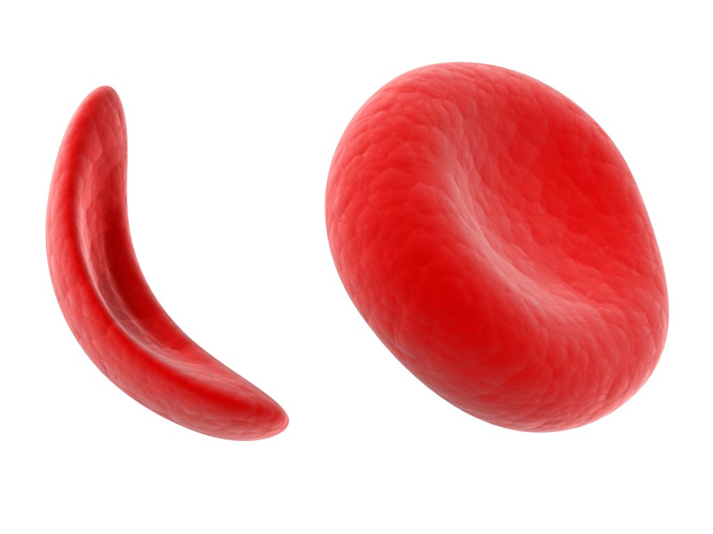 Red blood cell - International Magazine Kreol Red blood cell