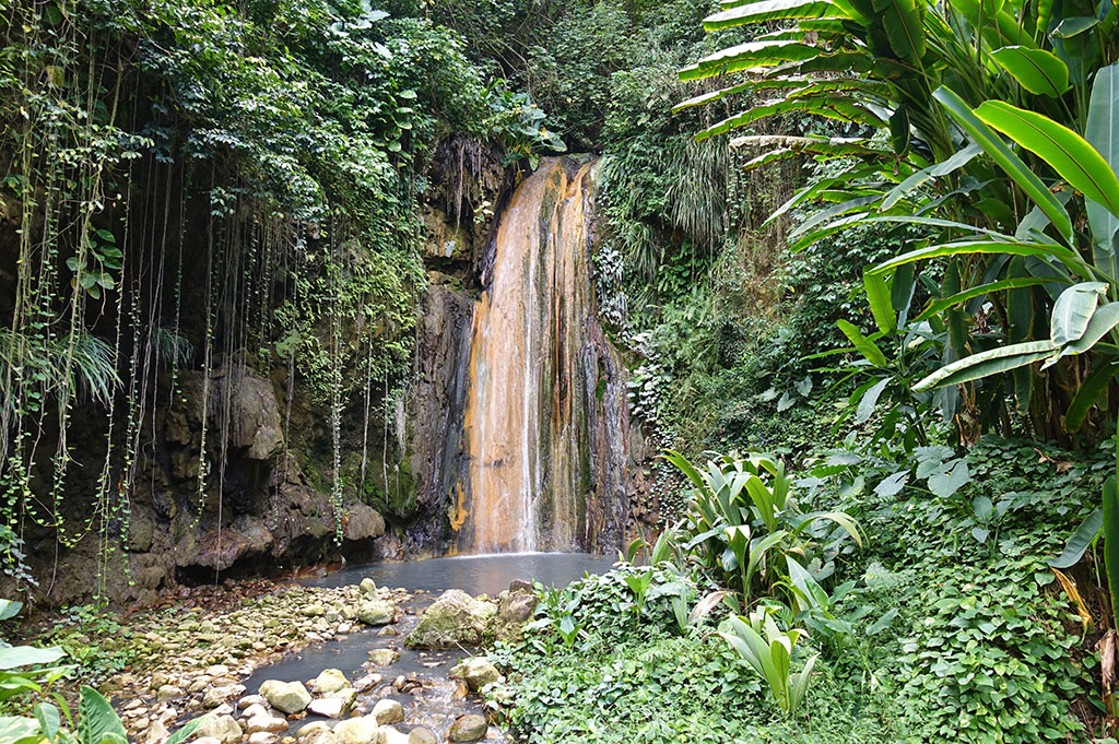 View,Of,The,Diamond,Waterfall,In,The,Diamond,Botanical,Gardens - International Magazine Kreol View of the Diamond Waterfall in the Diamond Botanical Gardens in St Lucia