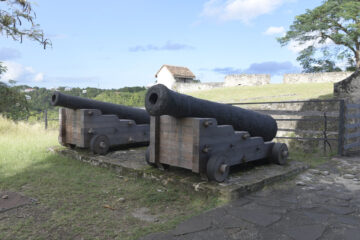le fort fleur d'épée
