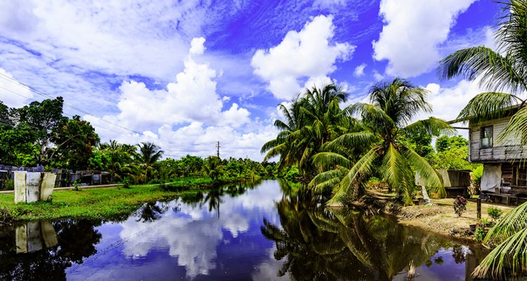 Suriname_Lead - International Magazine Kreol Suriname