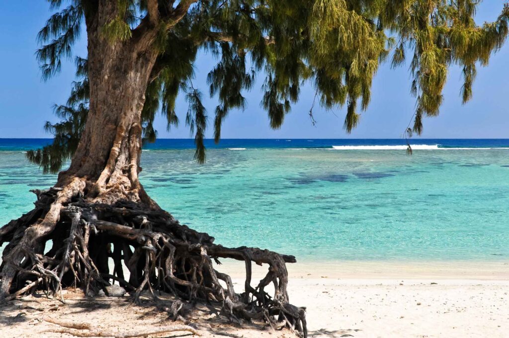 La Réunion - International Magazine Kreol La Réunion