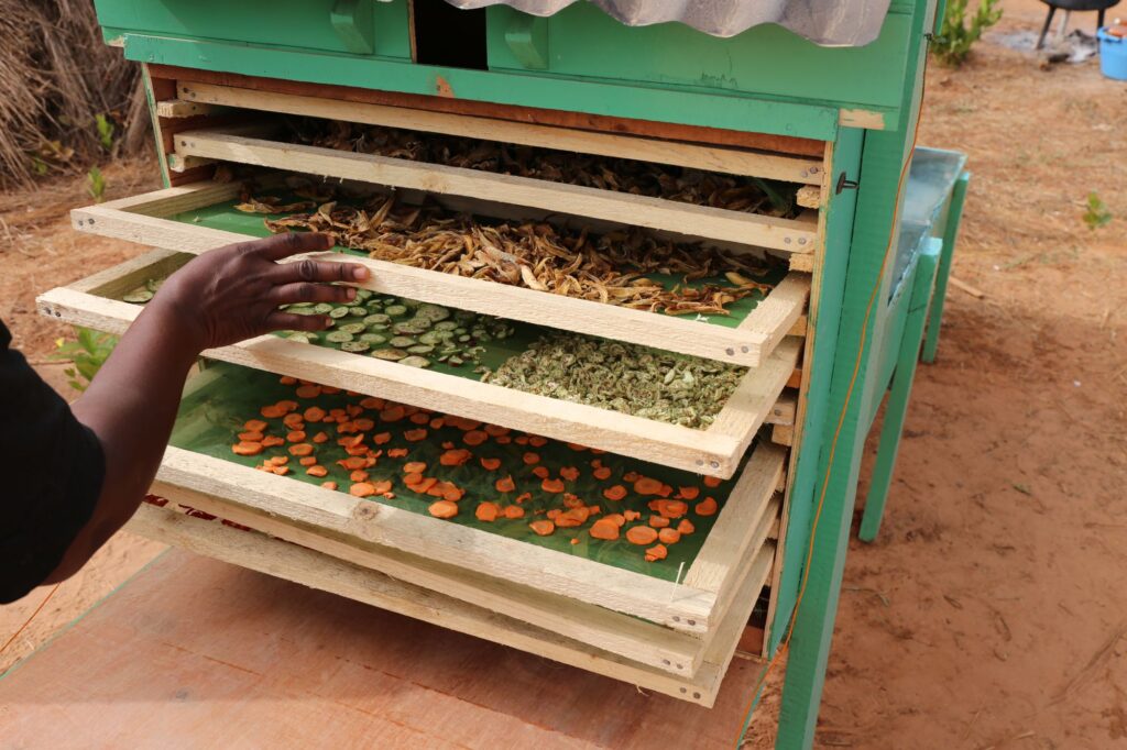 A traditional wooden solar equipment used to dry vegetables and fruits in Guinea Bissau. - International Magazine Kreol Guinea-Bissau's