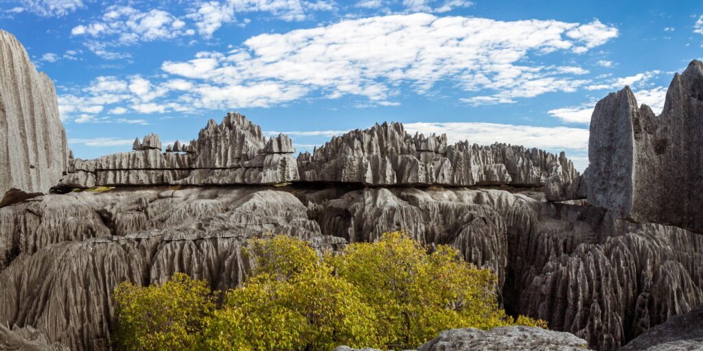 The Great Tsingy De Bemaraha Of Madagascar, In The Tsingy De Bemaraha,Integral Nature Reserve Of UNESCO - International Magazine Kreol Madagascar