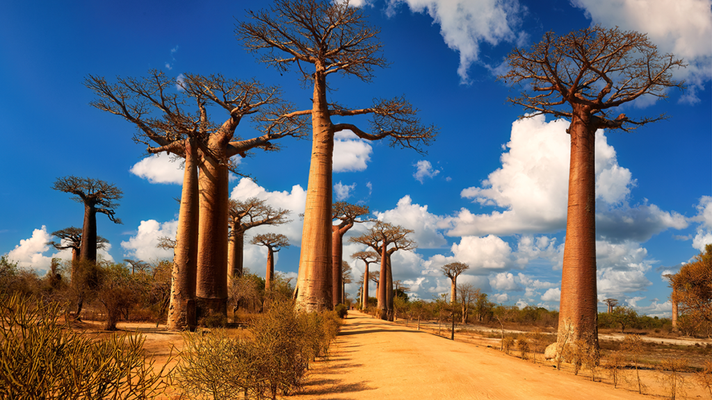 Madagascar