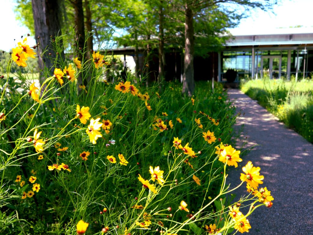 Native Plants - International Magazine Kreol Architecture of Life in Louisiana