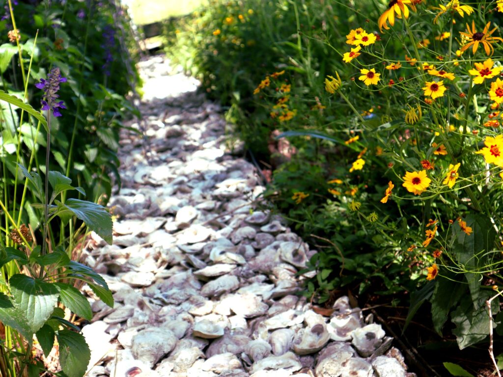 Oyster Bed - International Magazine Kreol Architecture of Life in Louisiana
