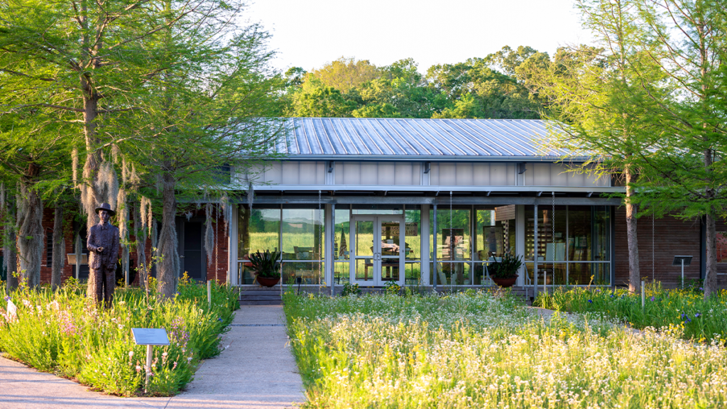 Architecture of Life in Louisiana