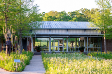 Architecture of Life in Louisiana