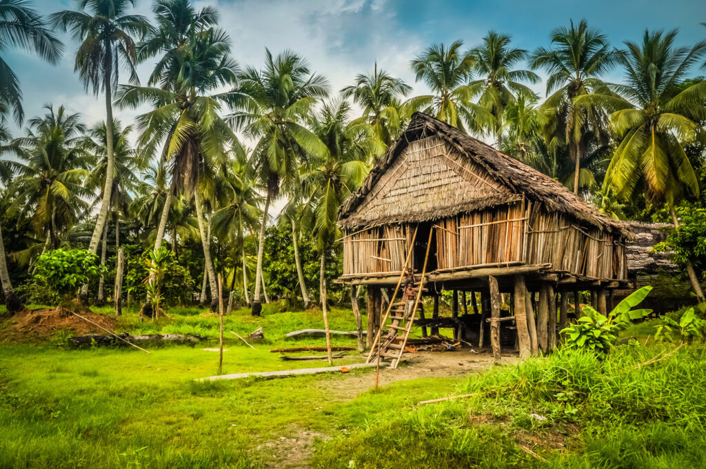 PhotoOfLargeHouseMadeOfStrawAndBambooIn - International Magazine Kreol Papua New Guinea
