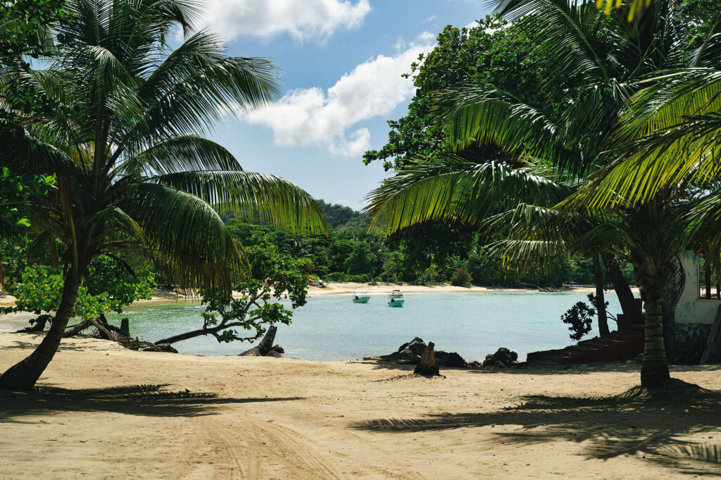 BeautifulScenicLandscapeViewOfPlayaRinconAtSamanaIsland - International Magazine Kreol Dominican Republic