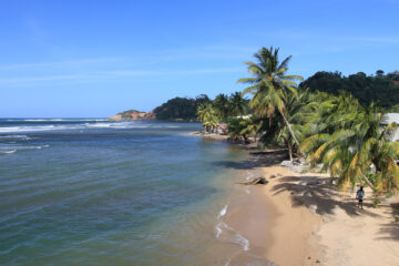 Dominica: The Caribbean’s Emerging Eco-Tourism Haven